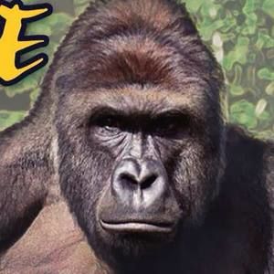 Meet your Posher, Reed